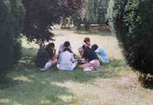 IMG_5375 IMG_5375